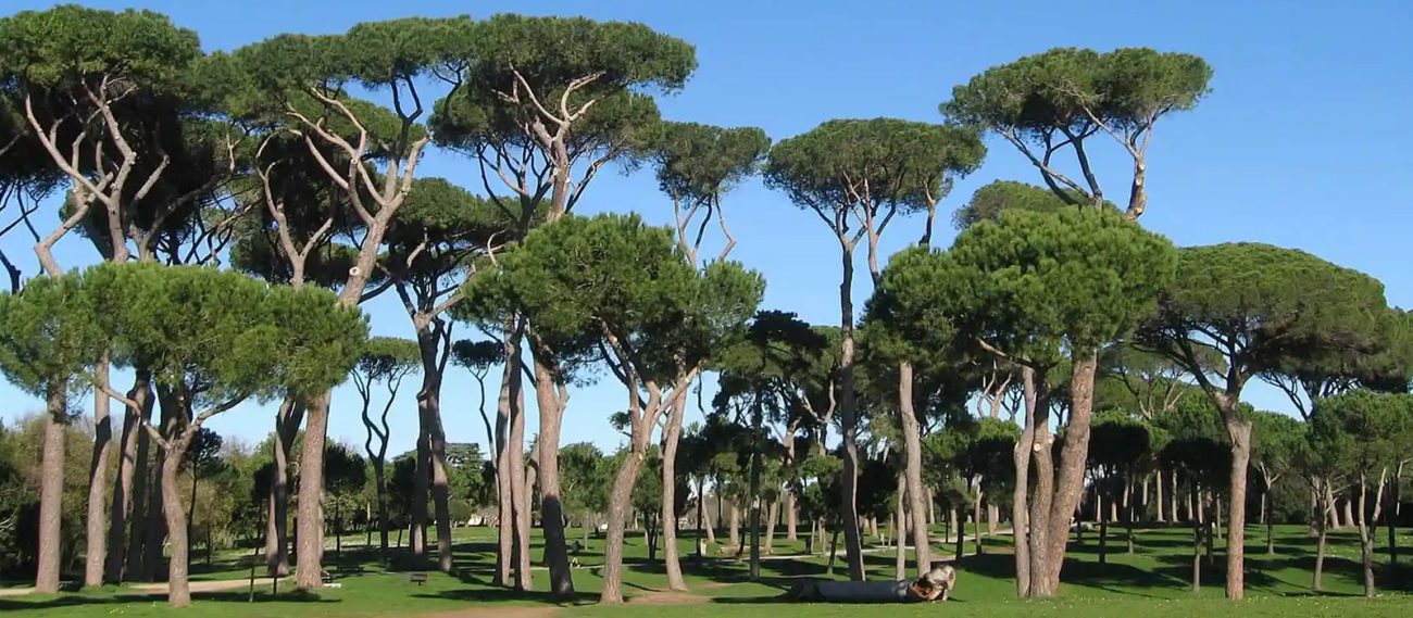 RomaNatura- Parco Regionale Urbano del Pineto