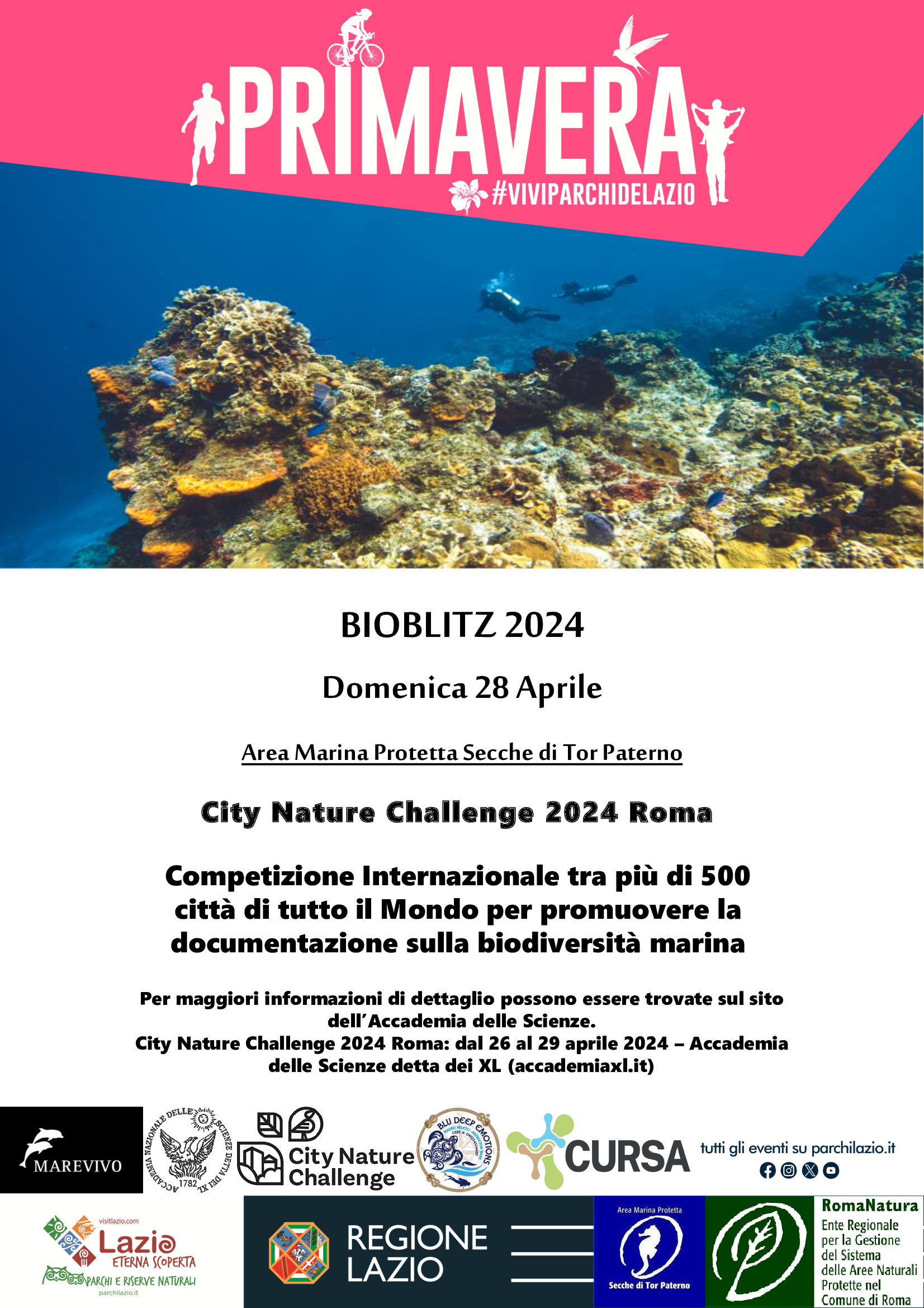 BioBlitz-2024