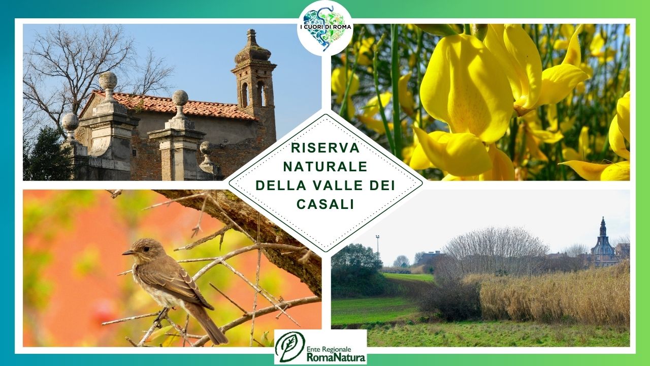 Riserva Naturale della Valle dei Casali
