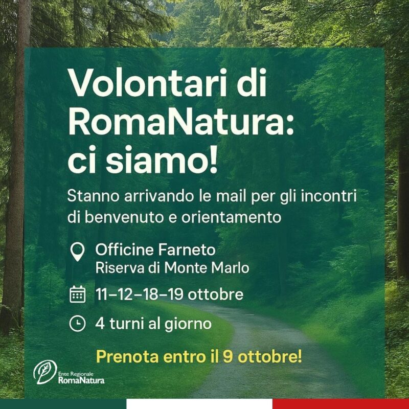 Volontari Roma - Romanatura