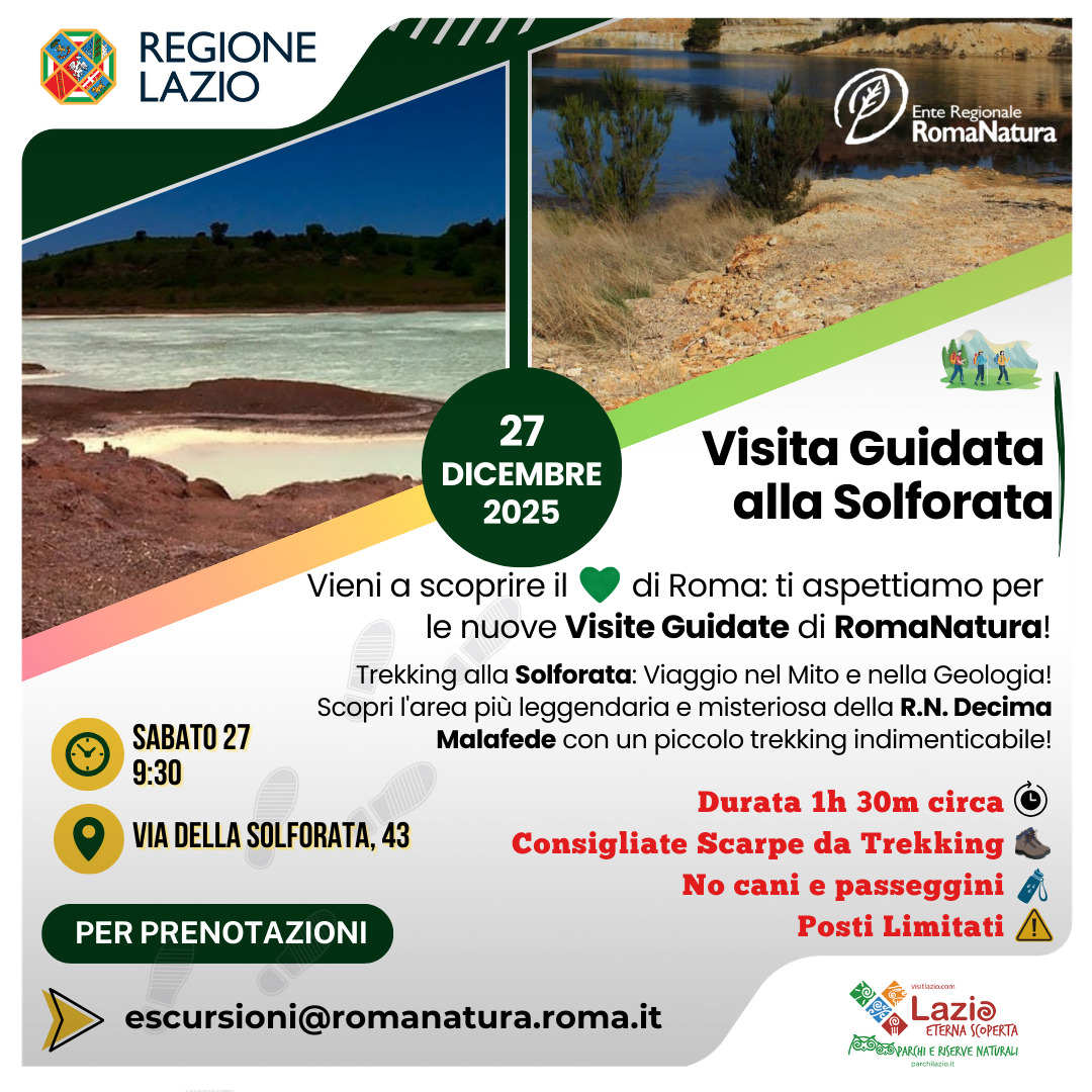 visita-guidata-solfatara-27-dicembre-2025