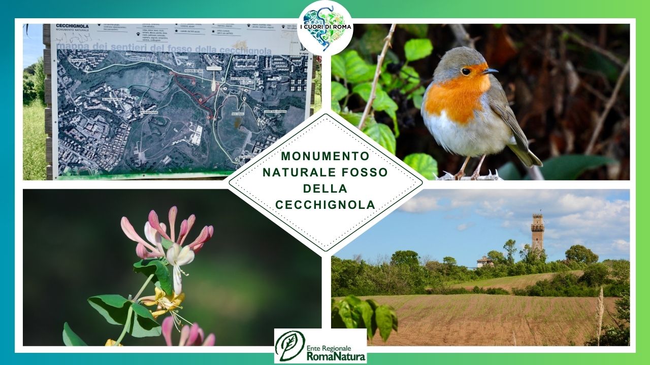 Monumento Naturale Fosso della Cecchignola