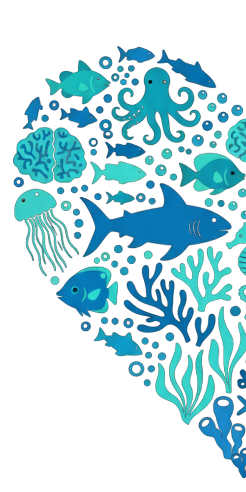 AMP Secche di Tor Paterno