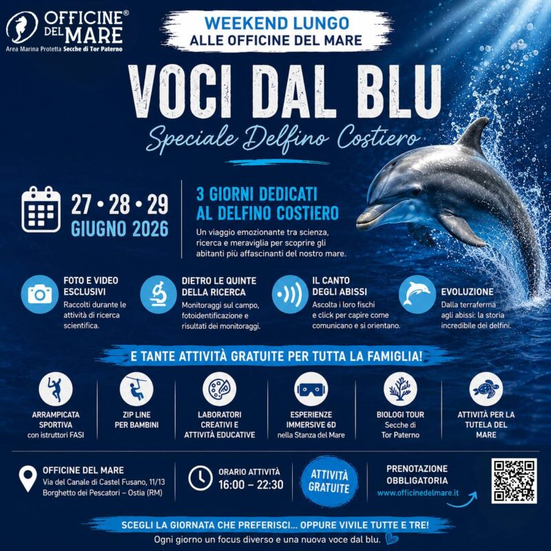 Alla scoperta dei delfini del nostro mare: weekend speciale alle Officine del Mare