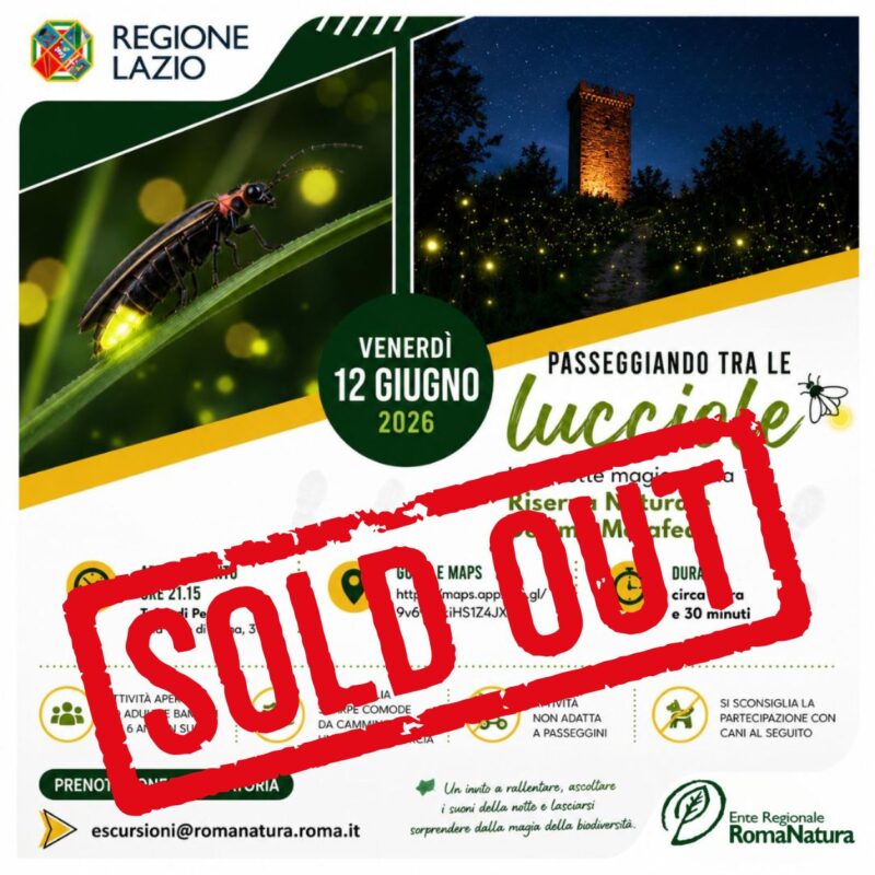 escursione-romanatura-12-giugno-2026