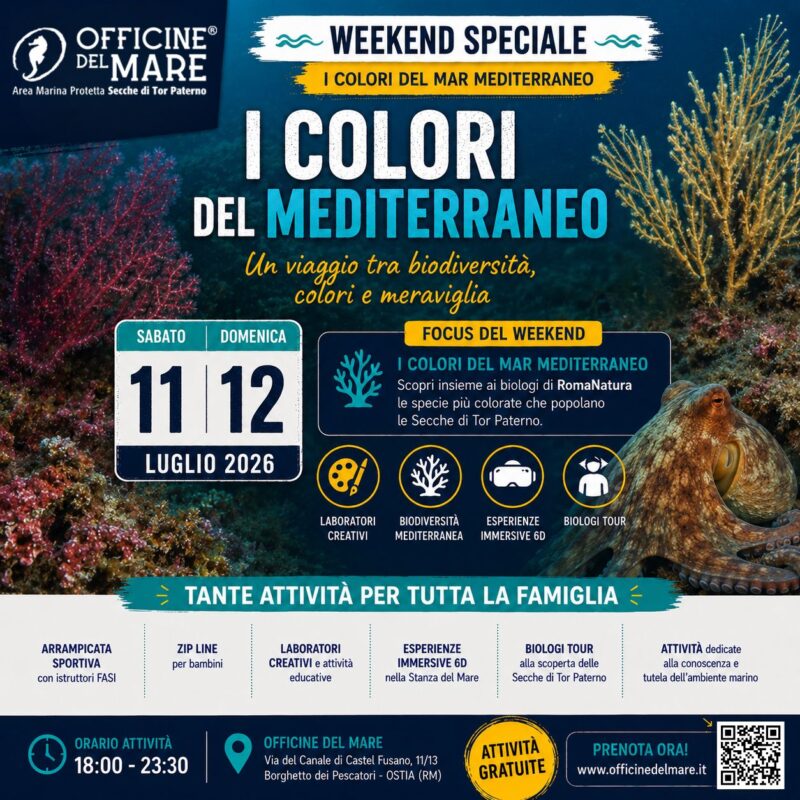 eventi-officine-del-mare-romanatura-11-12-luglio-26-