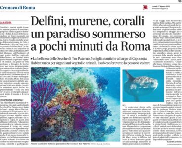 Secche di Tor Paterno: Il Messaggero racconta il paradiso sommerso al largo di Roma, tra delfini, murene, gorgonie e coralli.