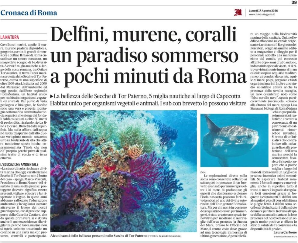 Secche di Tor Paterno: Il Messaggero racconta il paradiso sommerso al largo di Roma, tra delfini, murene, gorgonie e coralli.