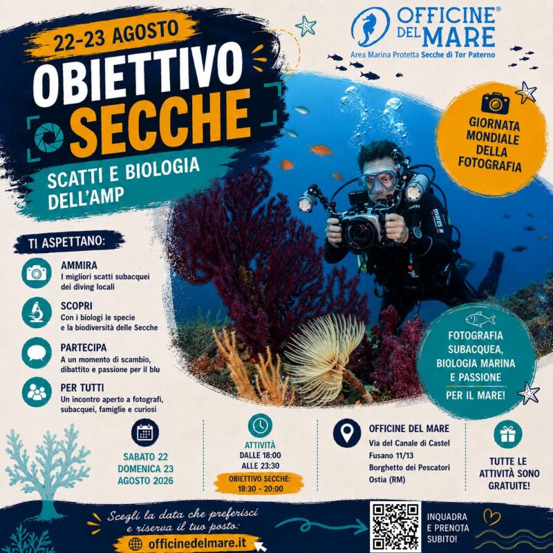 eventi-officine-del-mare-22-23-agosto-2026-card-def-2