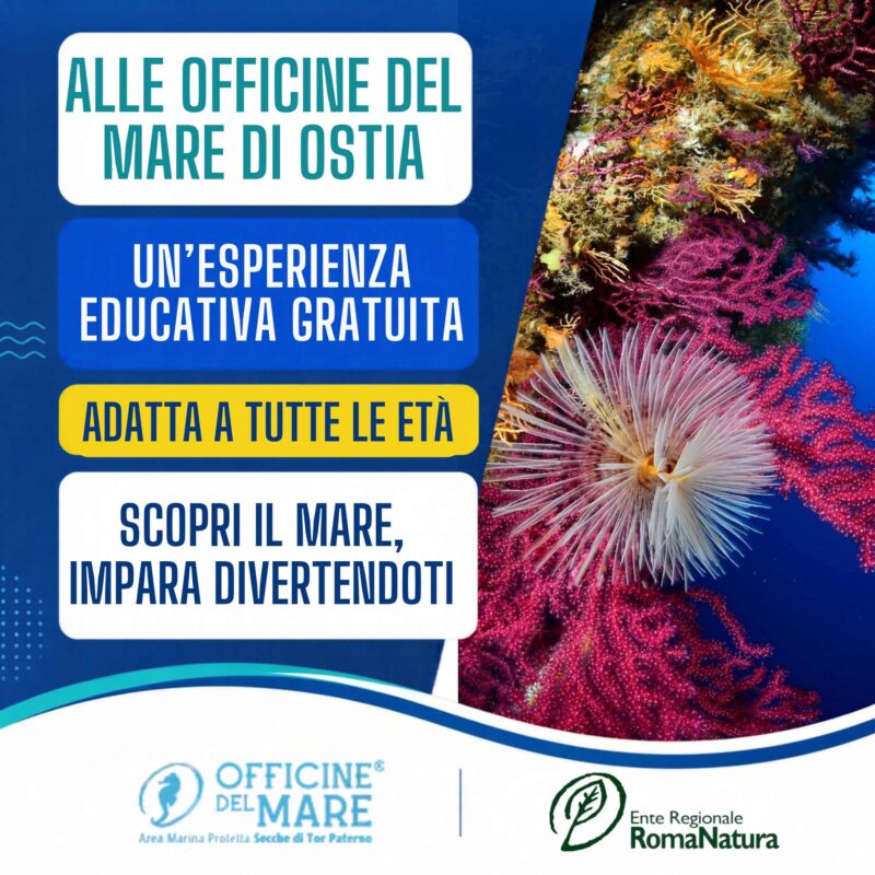 Officine del Mare Ostia: attività gratuite per famiglie